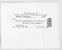Image Associated With the Occurence